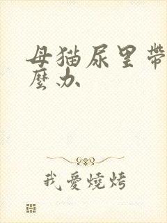 母猫尿里带血怎么办封面