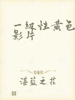 一级性黄色录像影片