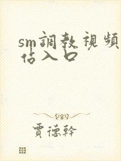 sm调教视频网站入口