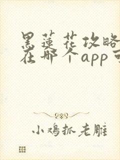 黑莲花攻略手册在哪个app可以看封面