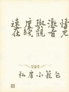 速度与激情11在线观看免费完整版封面