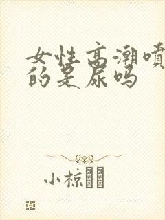 女性高潮喷出来的是尿吗