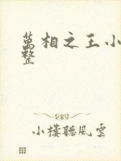 万相之王小说完整封面