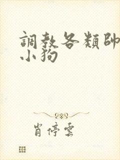 调教各类帅气是小狗