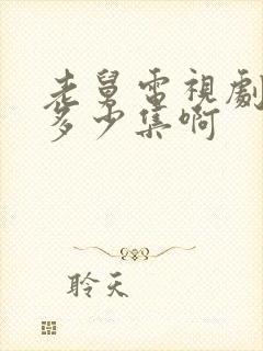 老舅电视剧一共多少集啊