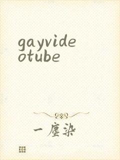 gayvideotube封面