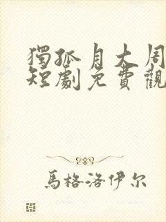 独孤月大周女帝短剧免费观看