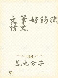 文笔好的职场言情文