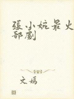 张小婉最火的三部剧