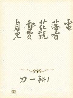 月都花落电视剧免费观看