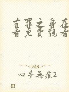 有罪之身在线观看免费观看高清全集