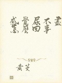 感觉尿不尽尿疼怎么回事封面