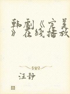 韩剧《完美伴侣》在线播放