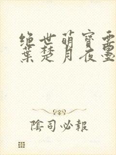 绝世萌宝要翻天叶楚月夜墨寒