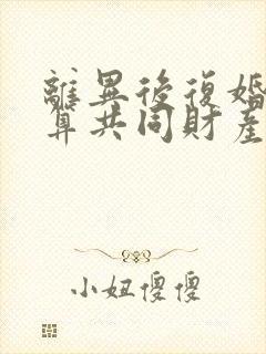 离异后复婚财产算共同财产封面