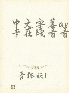 中文字幕av不卡在线看看