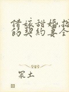 错嫁甜婚,总裁的契约妻全文免费阅读