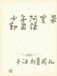 少年阿宾最新章节目录