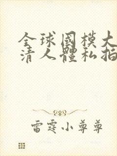 全球国模大胆高清人体私拍封面