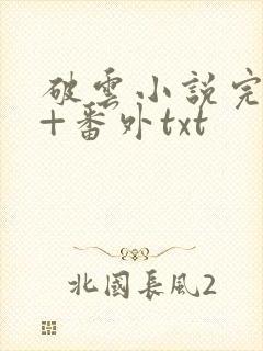 破云小说完整版+番外txt