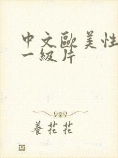 中文欧美性生活一级片