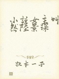 小说女主叫乔安然陆景琛