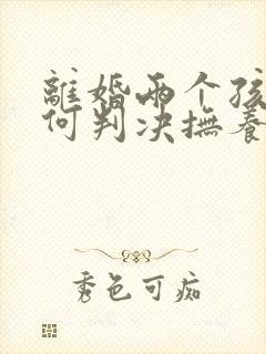 离婚两个孩子如何判决抚养权