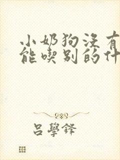 小奶狗没有奶喝能吃别的什么