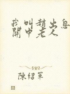 我叫赵出息小说关中老人封面