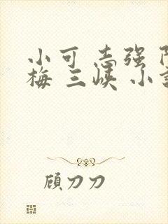 小可 志强 阿梅 三峡 小说免费阅读封面