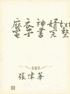 麻衣神婿txt电子书完整版下载封面