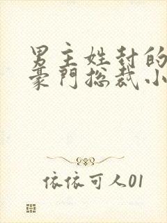 男主姓封的所有豪门总裁小说