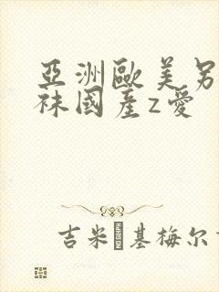 亚洲欧美另类丝袜国产z爱