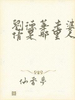 刘德华老婆朱丽倩是哪里人封面