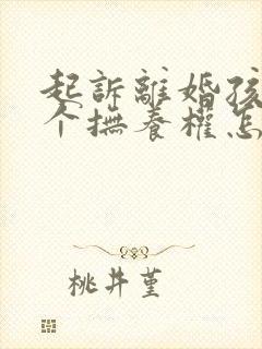 起诉离婚孩子两个抚养权怎么判