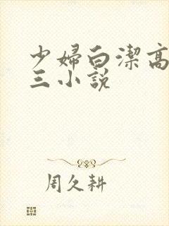 少妇白洁高义陈三小说