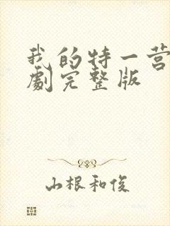 我的特一营电视剧完整版