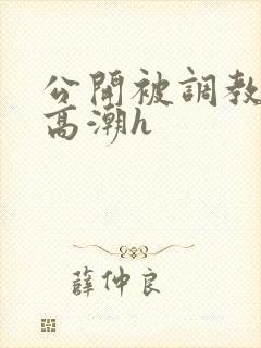 公开被调教当众高潮h