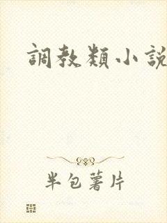 调教类小说男男封面