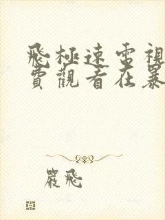 飞极速电视剧免费观看在暴雪时分封面