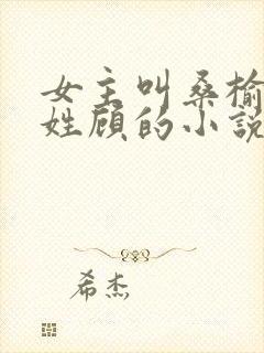 女主叫桑榆男主姓顾的小说