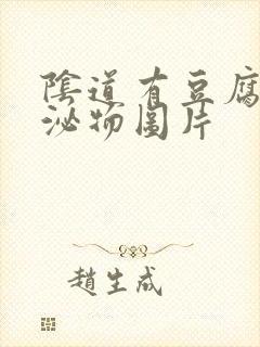 阴道有豆腐渣分泌物图片封面