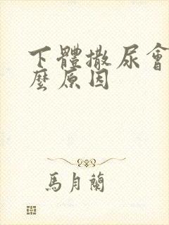 下体撒尿会痛什么原因