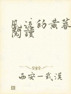 风流的黄蓉在线阅读