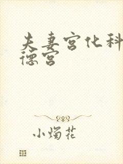 夫妻宫化科入福德宫