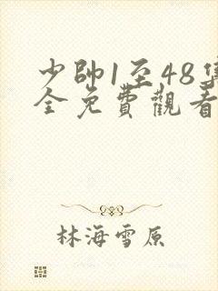 少帅1至48集全免费观看 48集在线封面