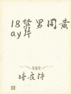 18禁男同黄gay片