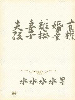 夫妻离婚有两个孩子抚养权怎么判定