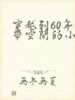 穿越到60年代带空间的小说