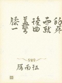 膝盖后面的腿窝一弯曲就疼